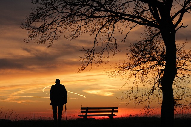 noname_13-sunset-3156176_640